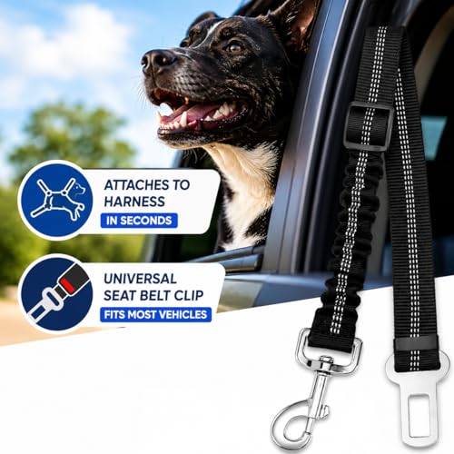 GoodStay Dog Seat Belt for Cars, Adjustable Pet Car Seat Belt, Heavy Duty Nylon Safety Leash with Shock Absorbing Bungee, Universal Seat Belt Clip for Small, Medium & Large Dogs