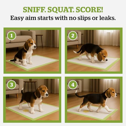 Pogi’s Dog Pads with Sticky Tabs – Large, Super Absorbent, Odor Blocking, 20-Count (24x24in) - size: Large - 24 x 24"