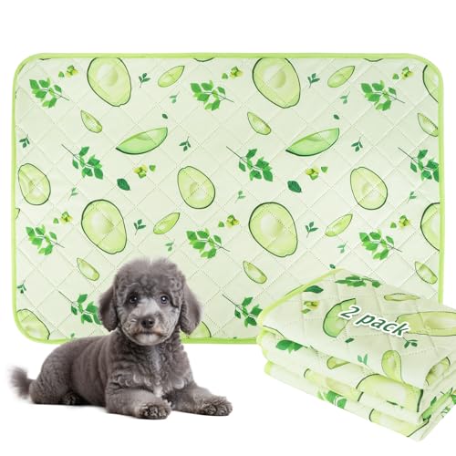 BVAGSS Washable Pee Pads for Dogs, 2 Pack Reusable Leakproof Puppy Wee Wee, Non-Slip Waterproof Pet Training, Super Absorbent Whelping Pads XH081 (Avocado, 30X20 Inch) - color: Avocado, size: 30X20 Inch (Pack of 2)