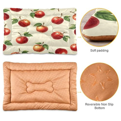 Apples Pattern Pet Bed Mat for Dogs and Cats, Soft Washable Crate Pad with Non-Slip Bottom, Cozy Bed Cushion for Small Medium Large Pets, 24x36 Inch - size: Medium