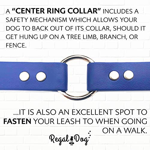 Regal Dog Products Small Blue Dog Collar with Heavy Duty Double Buckle & D Ring | Vinyl Coated, Custom Fit, Adjustable Biothane Dog Collar | Chew Resistant Waterproof Center-Ring Collar for Dogs - color: Blue, size: Small