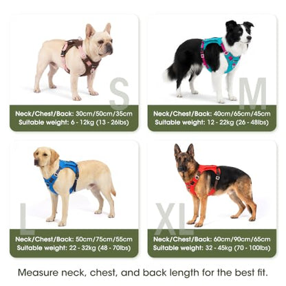 2-in-1 Dog Harness with Built-in Raincoat, Waterproof Packable Dog Rain Jacket, Reflective Adjustable Dog Rain Coat with Leash Portal, Aqua Blue Harness/Rose Red Raincoat, Large - color: Aqua Blue Harness / Rose Red Raincoat, size: Large