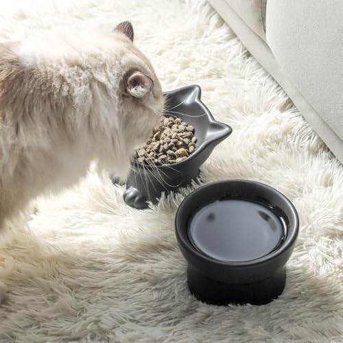 Nihow Elevated Cat Bowls,5 Inch Ceramic Raised Cat Food and Water Bowl Set | Slanted,Whisker Friendly,for Protecting Pet's Spine,Microwave & Dishwasher Safe ,Elegant Black 4.5 OZ, Set of 2 - color: Matte Black, size: 4.5 OZ+8 OZ