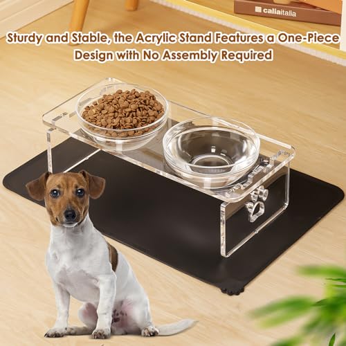 Elevated Dog Bowls for Medium Dogs – 5.5” Acrylic Raised Pet Feeder Stand with 2 Stainless Steel & 2 Glass Removable Bowls – Food & Water Dish Set - size: Medium Dogs-5.5" Height