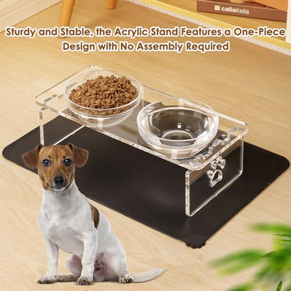 Elevated Dog Bowls for Medium Dogs – 5.5” Acrylic Raised Pet Feeder Stand with 2 Stainless Steel & 2 Glass Removable Bowls – Food & Water Dish Set - size: Medium Dogs-5.5" Height