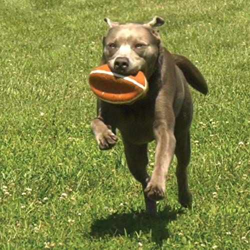 Nylabone Power Play Felt Football Gripz Fetch Toy, Squeaky Ball Chew Toy for Dogs, Large (1 Count) - size: Large