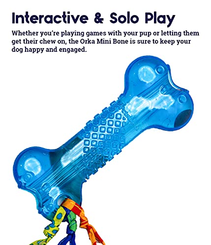 Bone Mini Dog Chew Toy & Treat Stuffer for Teething Puppies & Small Dogs up to 20 lbs, Bounces & Floats, Textured for Dental Support, Moderate Chewers, 5.5" - size: Mini (Pack of 1)