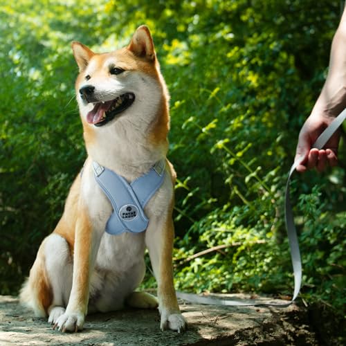 Patas Lague Dog Harness with Leash Set Adjustable Soft Padded Step-in Dog Vest No Choke No Pull Reflective for Small Medium Pets with Poop Bags and Dispenser, Solid and No-chew, Blue S - color: Blue, size: S (Neck 18.1-21.2'' Chest 21.2-25.2'')