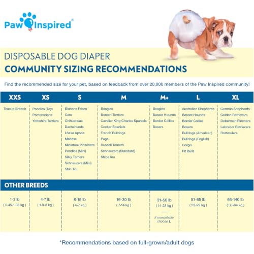 Paw Inspired Disposable Dog Diapers | Female Dog Diapers Ultra Protection | Diapers for Dogs in Heat, Excitable Urination, or Incontinence (144 Count, Medium) - size: Medium (144 Count)