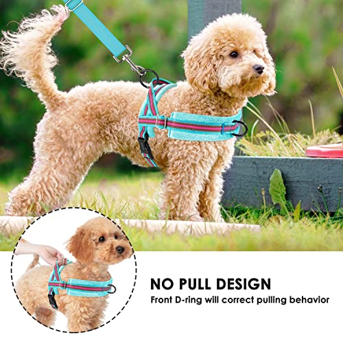 Lukovee No Pull Dog Harness and Leash Set, Soft Padded Small Dog Harness, Neck & Chest Adjustable Reflective Vest Puppy Harness with 4ft Lightweight Anti-Twist Dog Leash for Small Dogs (01-LBL) - color: Light Blue - with Stripe, size: S ( Chest 17.5'' ~ 2