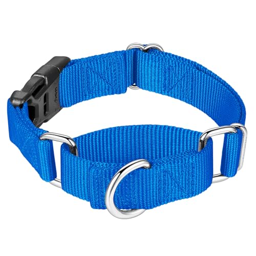 Mikivery Martingale Collar for Dogs Nylon Dog Collar with Quick Release Buckle Adjustable Training No Slip Dog Collars(Large, Royal Blue) - color: Royal Blue, size: Large