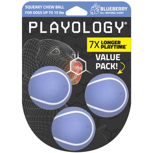 Playology Dog Toys | Squeaky Chew Ball for Dogs, Value 3-Pack | Blueberry Scented Small Dog Balls | Bouncy Floating Chew Toys for Fetch - size: Small (VALUE 3-Pack), style: Blueberry