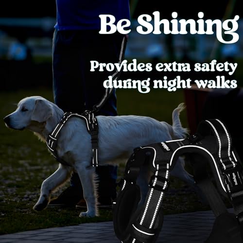 rabbitgoo Dog Harness Small Sized, No Pull Pet Harness with 3 Buckles, Adjustable Soft Padded Vest with Control Handle, Walking Reflective Pet Vest for Small Dogs, Black, S - color: Black, size: Small