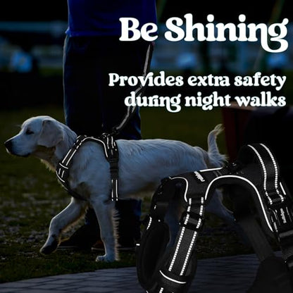 rabbitgoo Dog Harness Small Sized, No Pull Pet Harness with 3 Buckles, Adjustable Soft Padded Vest with Control Handle, Walking Reflective Pet Vest for Small Dogs, Black, S - color: Black, size: Small