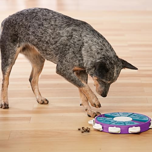 Outward Hound by Nina Ottosson Dog Twister – Interactive Treat Puzzle Enrichment Toy, Level 3 Advanced - color: Dog Twister (Purple, Blue)