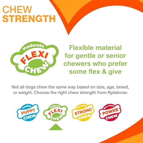 Nylabone Textured Dental Bone Flexi Chew Toy for Dogs, Dog Toys for Moderate Chewers, Chicken Flavor, X-Small - Up to 15 lbs, 1 Count - size: X-Small