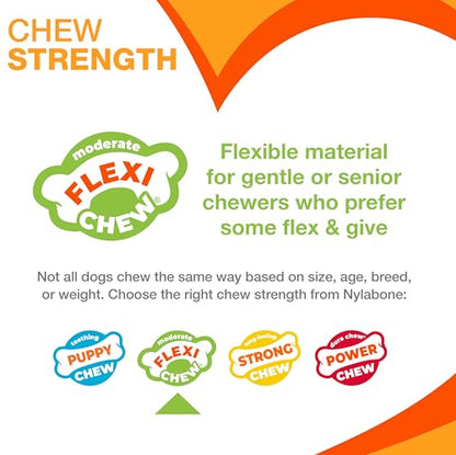 Nylabone Textured Dental Bone Flexi Chew Toy for Dogs, Dog Toys for Moderate Chewers, Chicken Flavor, X-Small - Up to 15 lbs, 1 Count - size: X-Small