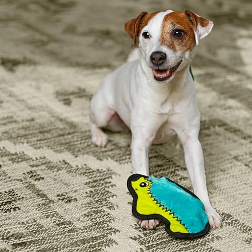 Outward Hound Durablez Minis – Squeaky Plush Dog Toy, No Stuffing for Less Mess, Interactive & Tough, Jumbo Squeaker, Puppies & Small Dogs, Hedgehog, 7" - color: Hedgehog, size: X-Small