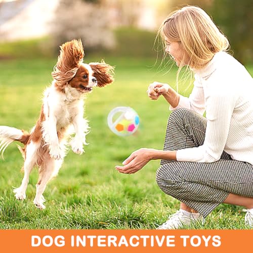 Dog Calming Ball with Handle, Interactive Football Shape Dogs Toy, Squeaky, The Mellow Dogs Strong Rubber Floating Ball for Water Play, Training, Outdoor Games(Color:White) - color: White