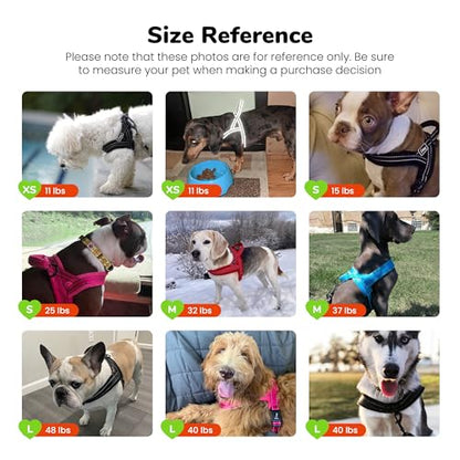 Didog No Pull Dog Harness with Breathable Mesh Padded,Reflective & Quick Fit Light Weight Dog Strap Vest Harness,Easy for Walking Training (XS:Chest 15-18", Mesh-Blue) - color: Blue, size: XS: Chest 15-18", Fit 9-18 lbs