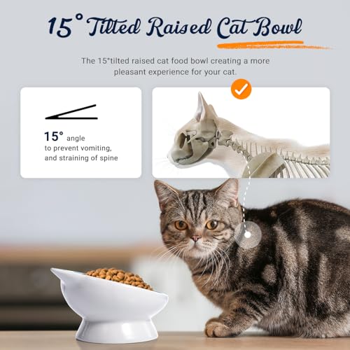 Raised Ceramic Cat Food Bowl - 15 Tilted, Spine Protection, Anti-Vomiting, Backflow Prevention for Adult Cats, Kittens, and Small Dogs (Blue Face) - color: blue white