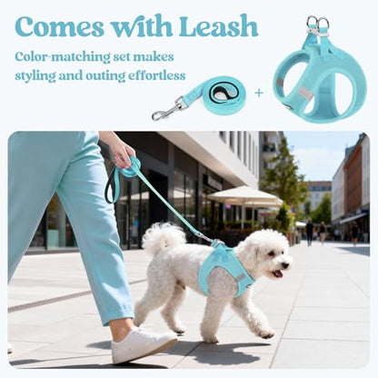 rabbitgoo Dog Harness Small Sized and Leash Set, Step in Soft Light Puppy Vest, Breathable Mesh Pet Harness, Reflective for Safe Easy Walking, Mint Blue XXXS - color: Mint Blue, size: Xxxs (chest: 10.8 - 11.8")