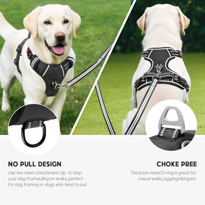 Timos Dog Harness, 3 Snap Buckles No-Pull Soft Padded Dog Vest with 2 Metal Leash Clips, Adjustable Reflective No Choke Pet Harness with Easy Control Handle for Small Dogs,Black,S - color: Lock-Black, size: Small (Pack of 1)