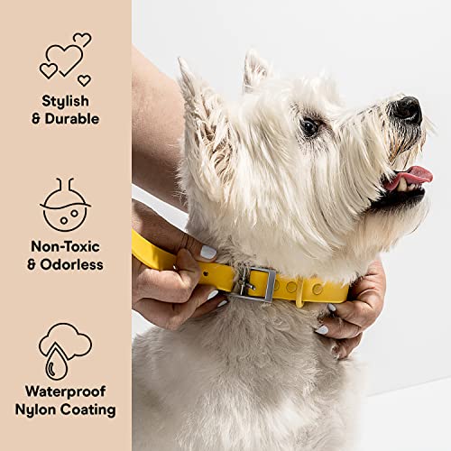Wild One Dog Collar, Easy-Clean, All Weather Flex-Poly Strap with Metal, Durable, Dirt and Odor Resistant (Butter, M) - color: Butter, size: M