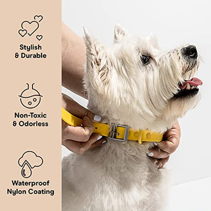 Wild One Dog Collar, Easy-Clean, All Weather Flex-Poly Strap with Metal, Durable, Dirt and Odor Resistant (Butter, M) - color: Butter, size: M