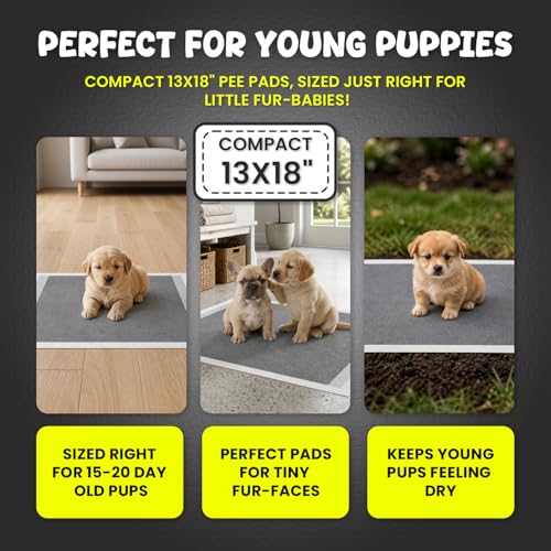 FPN Puppy Pads for Dogs Charcoal | Disposable Pee Pads for Puppies & Small Dogs | Pet Training Pads for Potty Training, Small Dog Pee Pads, Puppy Pads Bulk (100, 13x18 inch) - size: 13x18 inch