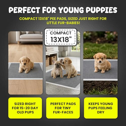 FPN Puppy Pads for Dogs Charcoal | Disposable Pee Pads for Puppies & Small Dogs | Pet Training Pads for Potty Training, Small Dog Pee Pads, Puppy Pads Bulk (100, 13x18 inch) - size: 13x18 inch