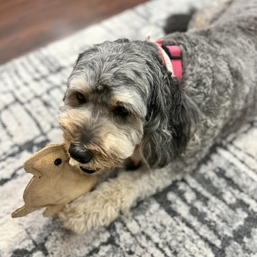 SPOT Dura-Fused Leather Rabbit Dog Toy – Durable Real Leather & Jute Chew Toy with Squeaker, Double-Stitched for Moderate Chewers, Small & Medium Dogs, 7.5in