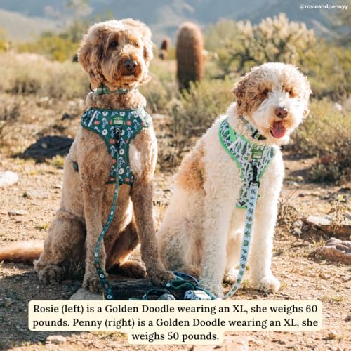 Lucy & Co. x Parks Project Power to the Parks No-Pull Dog Harness, Adjustable Front Clip Harness with Comfort Padding, X-Large - color: Power to the Parks, size: X-Large