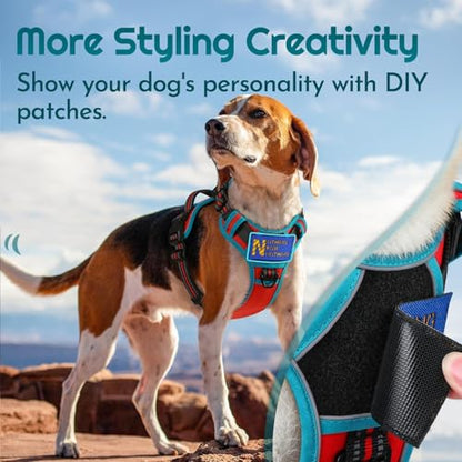 Eagloo Dog Harness Small Sized, Easy Wearing with 3 Buckles, Adjustable No Pull Pet Harness with 2 Rings for Walking, No Chock Reflective Soft Padded Vest with Control Handle, Red & Teal, S - color: Red & Teal, size: Small