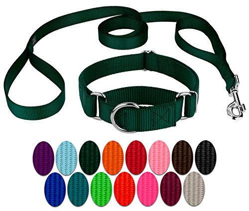 Country Brook Petz - Green Martingale Heavyduty Nylon Dog Collar and Double Handle Leash (3/4 Inch, Small) - color: Green, size: Small (Pack of 1)