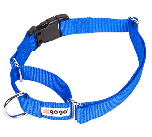 GOGO Pet Products 3/4-Inch Martingale Dog Collar, Medium, Blue - color: Blue, size: Medium (3/4" web width)