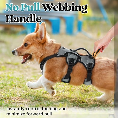rabbitgoo Escape Proof Dog Harness, Soft Padded Full Body Pet Harness, Reflective Adjustable No Pull Vest with Lift Handle and Leash Clip for Large Dogs Walking Hiking Training, S, Grey - color: Grey, size: Small (Pack of 1)