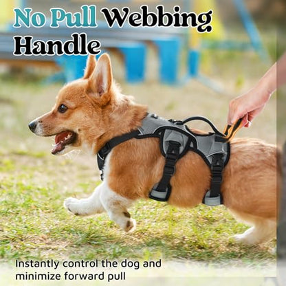 rabbitgoo Escape Proof Dog Harness, Soft Padded Full Body Pet Harness, Reflective Adjustable No Pull Vest with Lift Handle and Leash Clip for Large Dogs Walking Hiking Training, S, Grey - color: Grey, size: Small (Pack of 1)