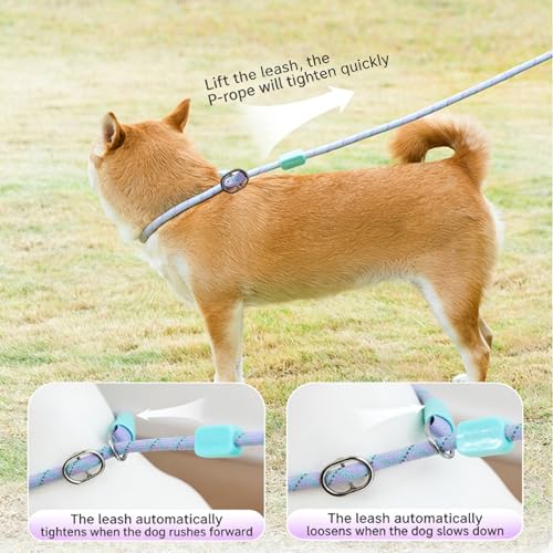 iiniim No-Pull Dog Leash with Padded Handle and Stop Durable Rope Construction Reflective for Evening Runs with Medium Dogs Purple 1.55M - color: Purple, size: 1.55M