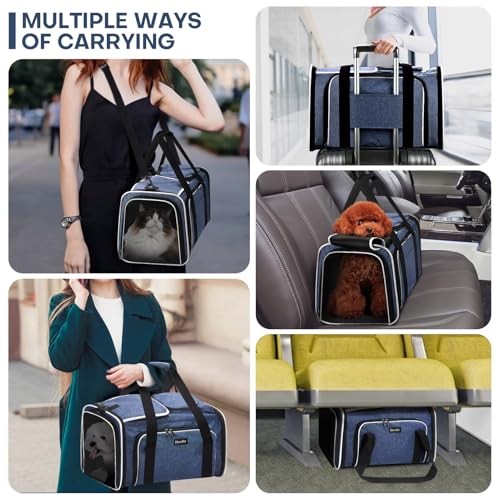 Pet Carrier, Large Soft Sided Expandable Travel Carrier with Steel Frame, Anti-Scratch Mesh, Removable Fleece Pad and Pockets for Cats, Dogs and Small Animals up to 15 lbs (Blue, 4 Sides Expandable) - color: Blue