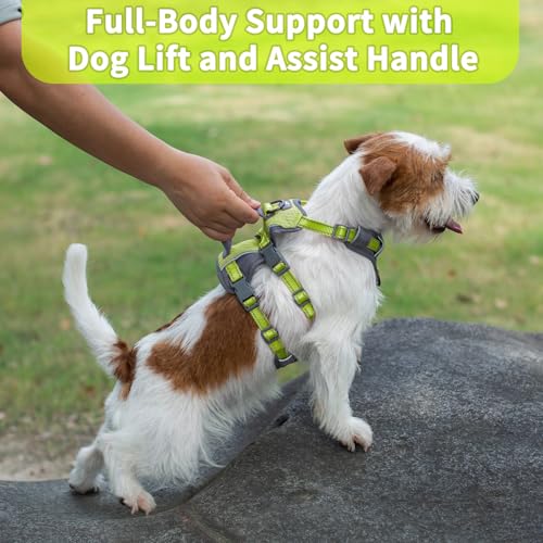 Huntboo Reflective Dog Harness with Handle, Escape Proof, No Slip, Breathable, Lightweight, Adjustable Lift Harness for Small,Medium,and Large Dogs Walking, Training, and Running Gear(Bright Green,XS) - color: Bright Green, size: X-Small(Pack of 1)