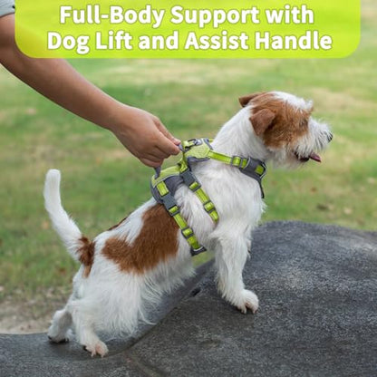 Huntboo Reflective Dog Harness with Handle, Escape Proof, No Slip, Breathable, Lightweight, Adjustable Lift Harness for Small, Medium, and Large Dogs Walking, Training,and Running Gear(Bright Green,S) - color: Bright Green, size: Small (Pack of 1)