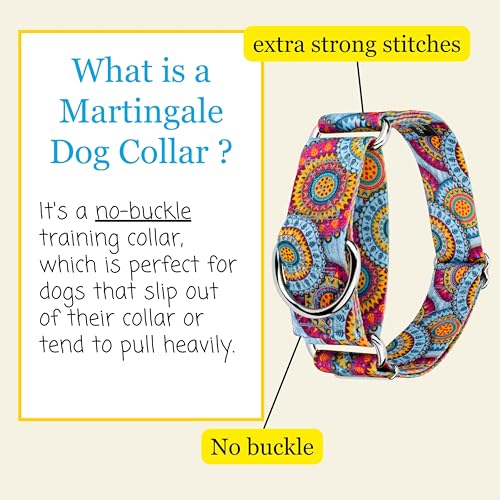 Country Brook Petz - HossFit Jr Wide Martingale Dog Collar - Groovy Collection Featuring Far Out Designs (Sky Mandala, Medium) - color: Sky Mandala, size: Medium (Pack of 1)
