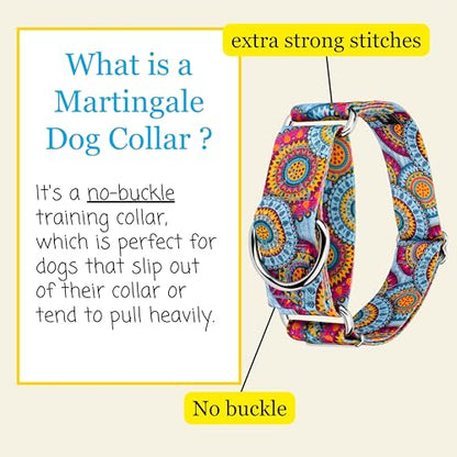 Country Brook Petz - HossFit Jr Wide Martingale Dog Collar - Groovy Collection Featuring Far Out Designs (Sky Mandala, Medium) - color: Sky Mandala, size: Medium (Pack of 1)