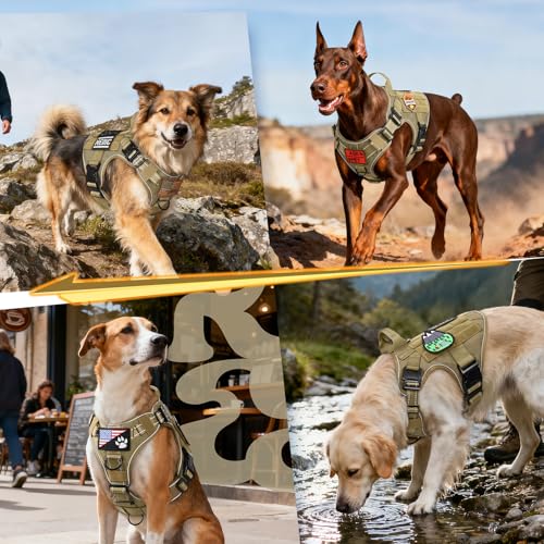 rabbitgoo Tactical Dog Harness Small Sized, No Pull Upgraded Reflective Heavy Duty Molle Vest with Handle, Adjustable Military Service Dog Vest for Walking Hiking Training, Brown, S - color: Brown Reflective, size: Small
