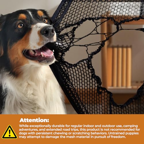 Nottia Dog Crate, Collapsible Soft Travel Crate for Large Dogs (3 Year Warranty), Indoor & Outdoor Portable Pet Kennel with Chew-Proof Mesh Window (Dark Gray, 36" L x 25" W x 25" H)
