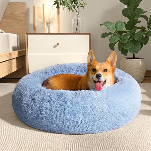 WESTERN HOME WH Calming Dog Bed & Cat Bed, Anti-Anxiety Donut Dog Cuddler Bed, Warming Cozy Soft Dog Round Bed, Dog Cat Cushion Bed for Small Medium Dogs and Cats - color: Light Blue, size: 24.0"l x 24.0"w x 7.0"th