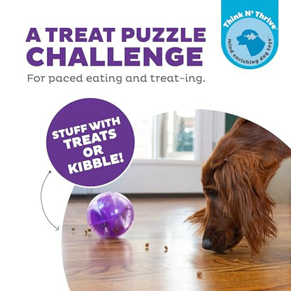Outward Hound Orbee-Tuff Mazee Interactive Dog Puzzle Toy, Treat Dispensing Slow Feeder Ball, Purple, 4.7-Inch - color: Purple