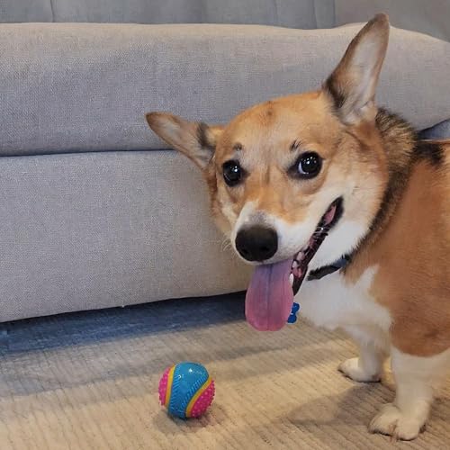 SPOT Sensory Ball for Soft Chewers - Stimulates All 5 Senses, Bell & Squeaker Sounds, Raised Nubs Clean Teeth, High Contrast Fetch Toy, Beef Scented, Durable TPR Rubber Ball, 2.5-inch - size: 2.5 inch (Pack of 1)