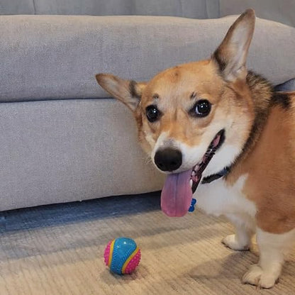 SPOT Sensory Ball for Soft Chewers - Stimulates All 5 Senses, Bell & Squeaker Sounds, Raised Nubs Clean Teeth, High Contrast Fetch Toy, Beef Scented, Durable TPR Rubber Ball, 2.5-inch - size: 2.5 inch (Pack of 1)